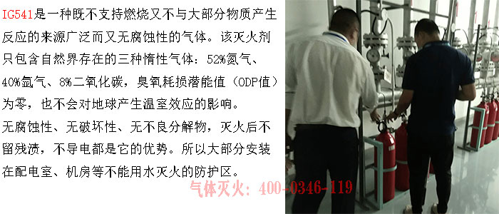 1598427118712089.jpg ig541.jpg